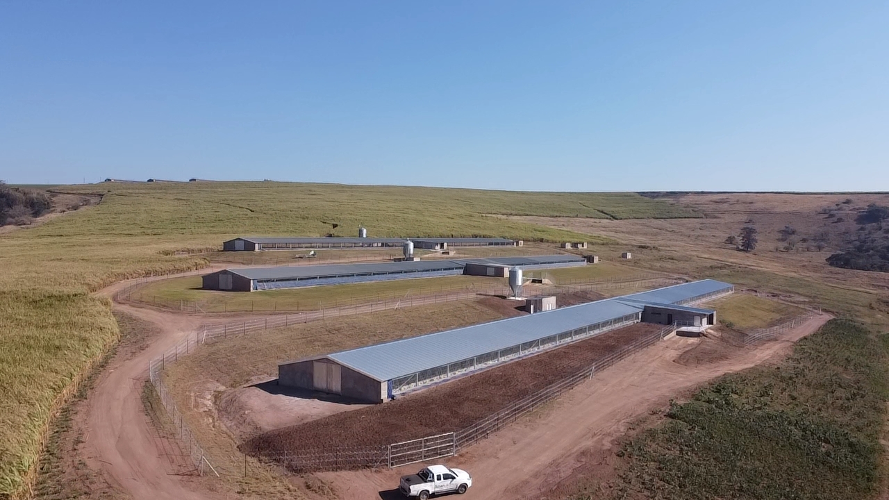 Poultry House 2 (1,584m²)